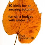 autumn autumn