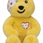 417756 Pudsey II_15