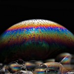bubb;e bubble