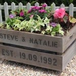 apple-planter-150x150 apple-planter-150x150