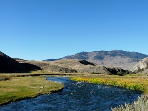 Montana