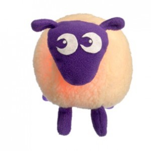 Ewan the dream sheep