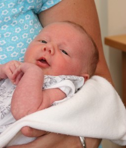 Baby blanket business