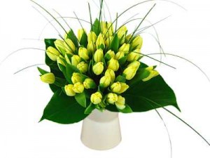 lemon tulip