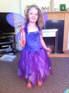 plum fairy, plum pixies, pixie fancy dress, purple fairy fancy dress