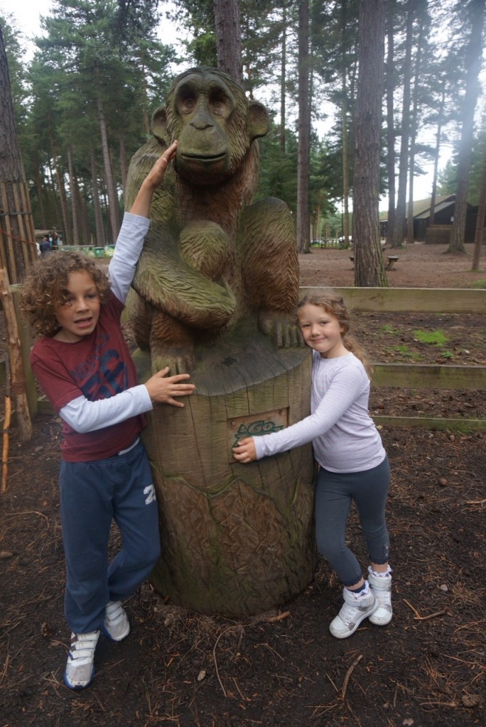 go ape at sherwood pines