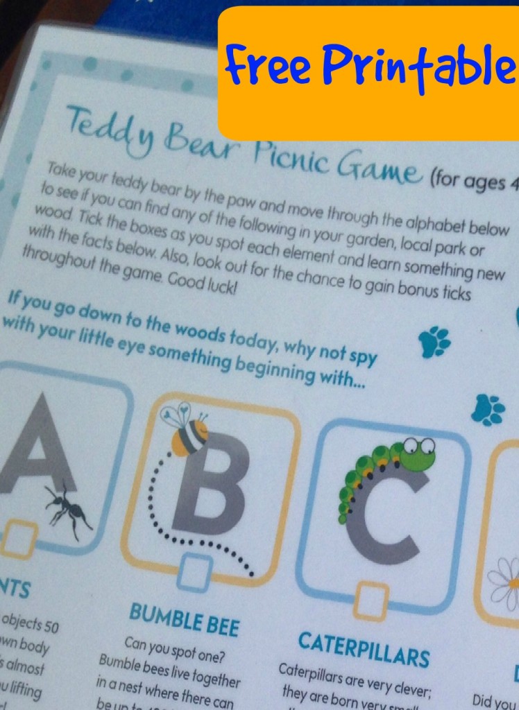 Teddy bears picnic game free printable