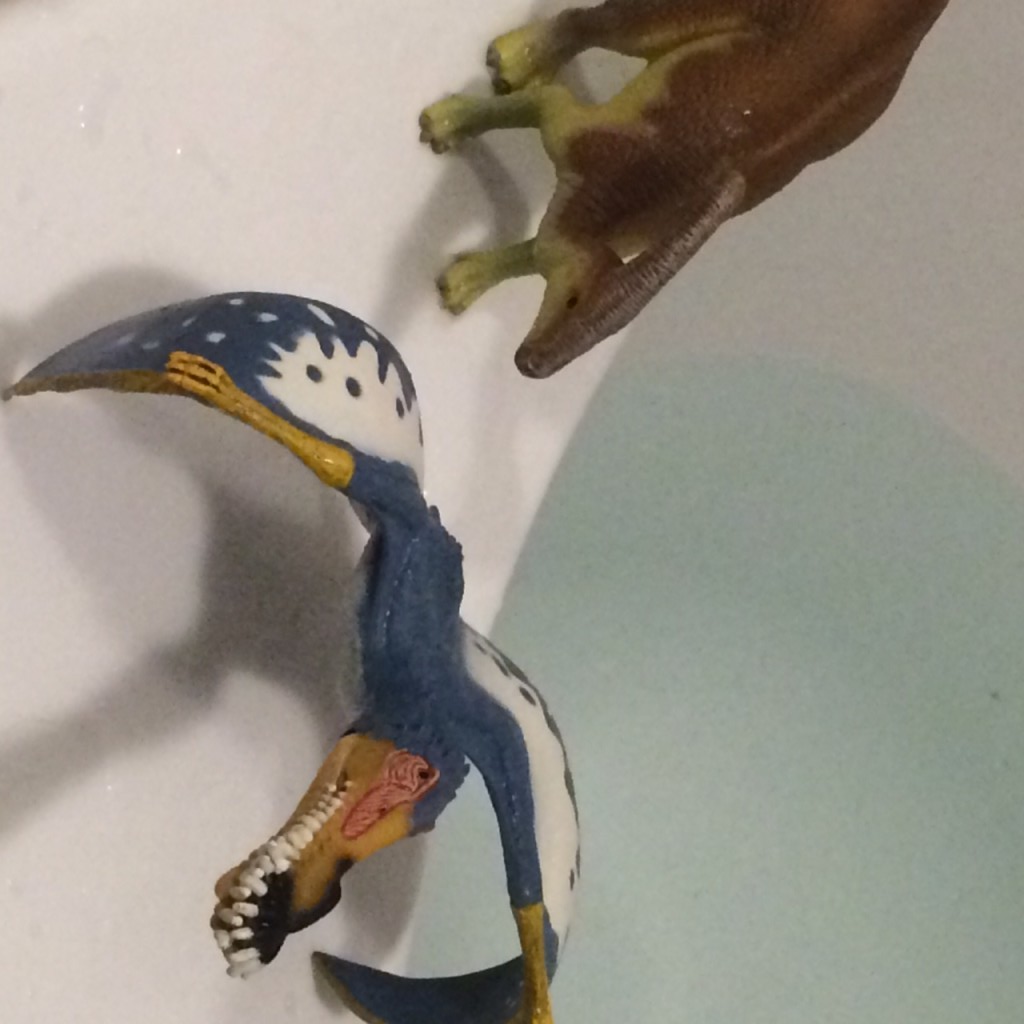 dino3