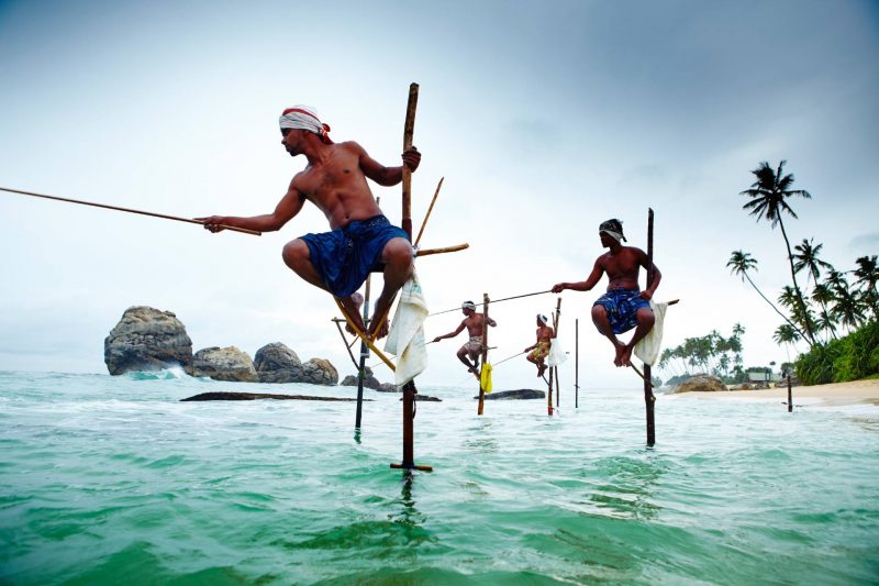 Stilt fishermen, fishing from poles in the water.