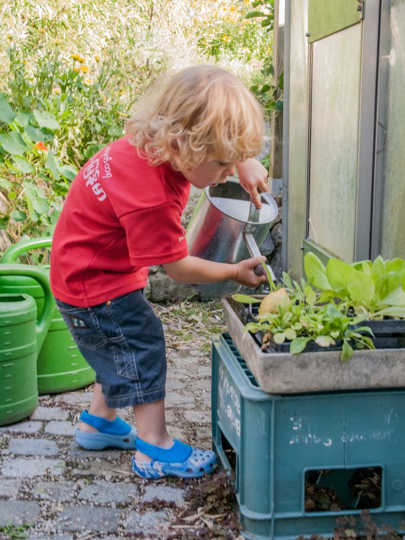 gardening and child development gardening and child development