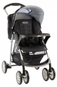 The Tale of the Buggy Budgeting Queen – (it’s guest post swap day)