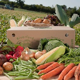 veg box baby food combinations