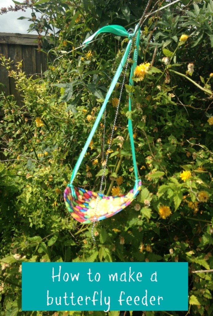 How to make a butterfly feeder
